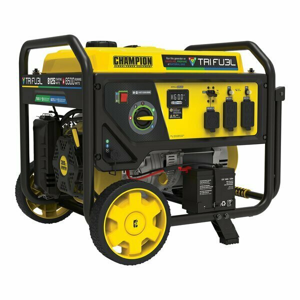 Champion Power Equipment CPE 389 CC Triple Fuel Portable Generator with Electric / Recoil Start and CO Shield 201169 14121169